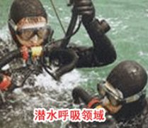 成功91免费看片网站下载