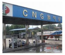 成功91免费看片网站下载